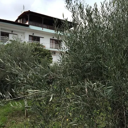 Litsa Haus Estate Residences & - Adults Only & Kids 8 Plus- Apartment *