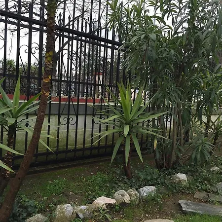 Litsa Haus Estate Residences & - Adults Only & Kids 8 Plus- Apartment